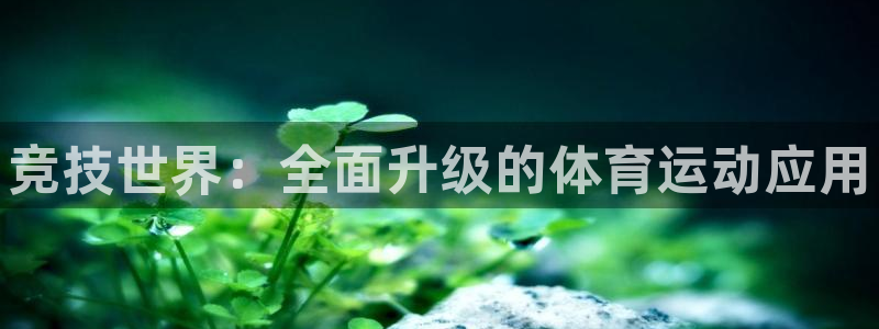 米兰体育官网下载平台注册流程图：竞技世界：全面升级的体育运动