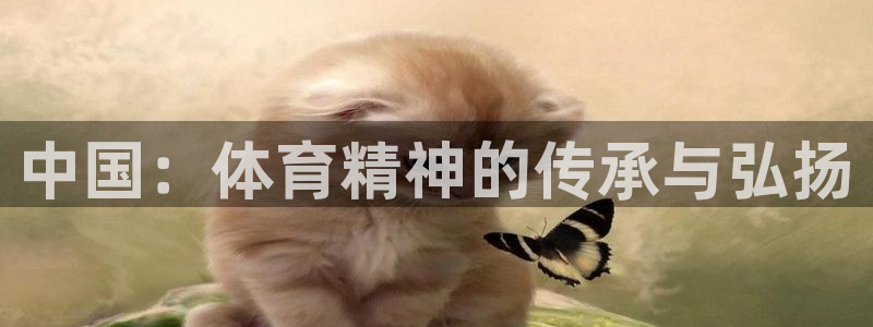 米兰体育官方正版app集团官网首页网址：中国：体育精