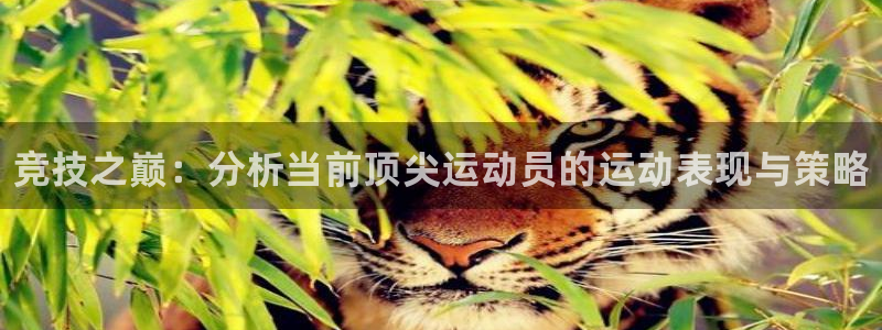 德国米兰体育官方正版app集团：竞技之巅：分析当前顶