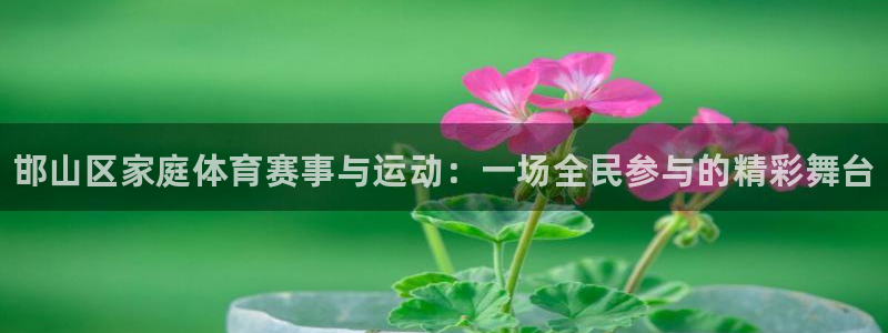 米兰体育官网下载招商电话地址是多少：邯山区家庭体育赛