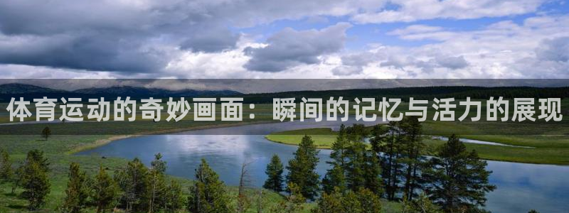 米兰体育官网下载招商电话号码查询：体育运动的奇妙画面