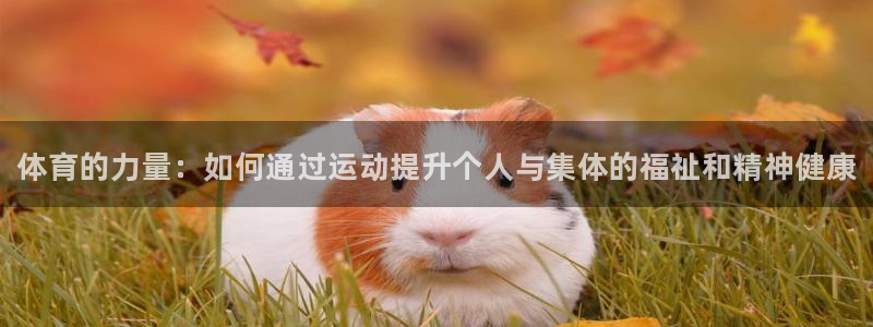 米兰体育官网下载平台注册要钱吗安全吗：体育的力量：如