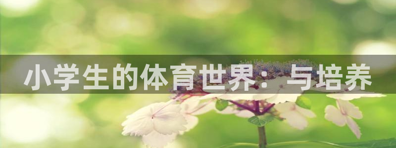 米兰体育官网下载招商：小学生的体育世界：与培养