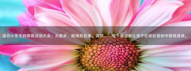 米兰体育官网下载招商电话号码查询是多少：适合小学生的体育运动