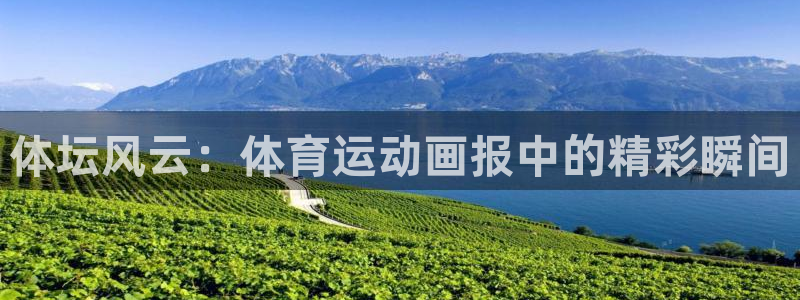 米兰体育官方正版app集团logo：体坛风云：体育运