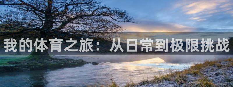 米兰体育官方正版app集团E.ON：我的体育之旅：从