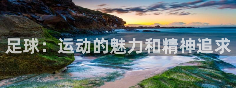 米兰体育官方正版app娱乐平台：足球：运动的魅力和精
