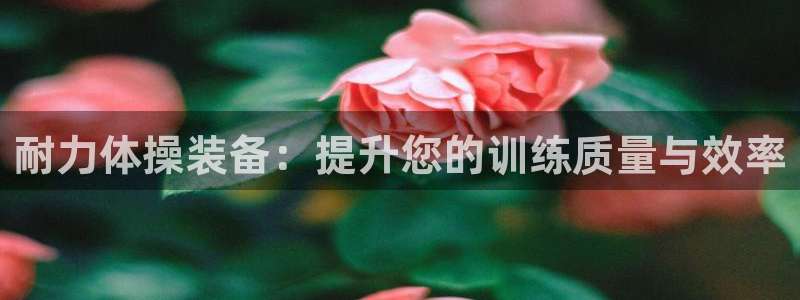 米兰体育官网下载招商电话号码查询：耐力体操装备：提升