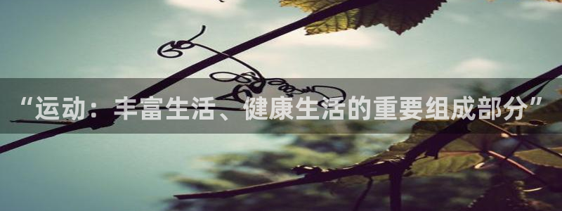 米兰体育官方正版app开户