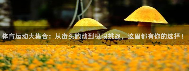 米兰体育官方正版app娱乐首页官网下载：体育运动大集