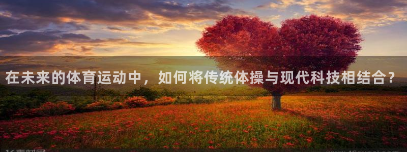 米兰体育官方正版app五金厂：在未来的体育运动中，如何将传统