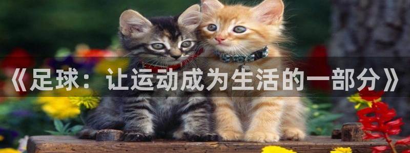 米兰体育官网下载平台注册要钱吗是真的吗：《足球：让运