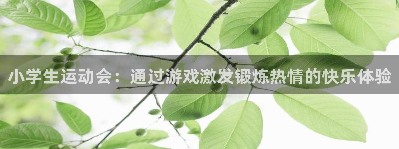 米兰体育官网下载联系电话：小学生运动会：通过游戏激发锻炼热情
